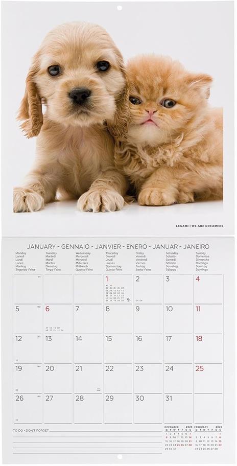 Calendario 2026 da Parete  - Best Friends - 18 x 18 cm - 2