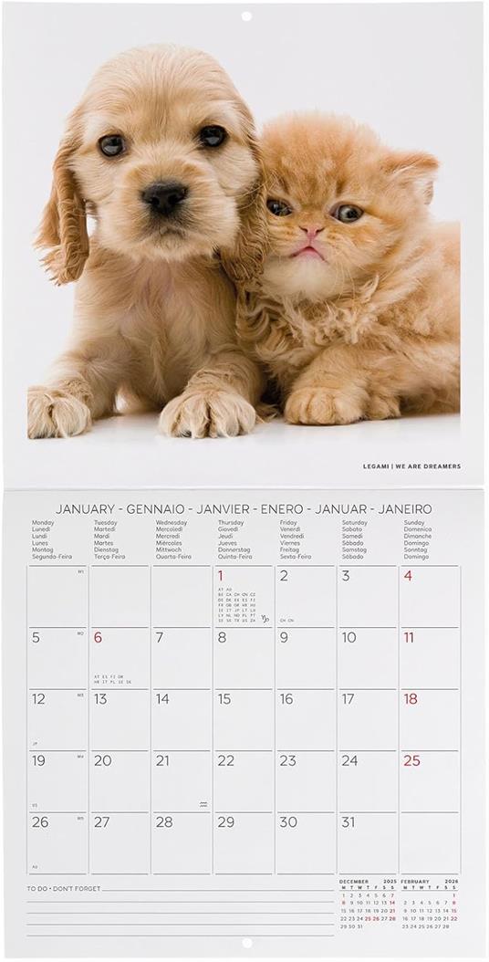 Calendario 2026 da Parete  - Best Friends - 18 x 18 cm - 2