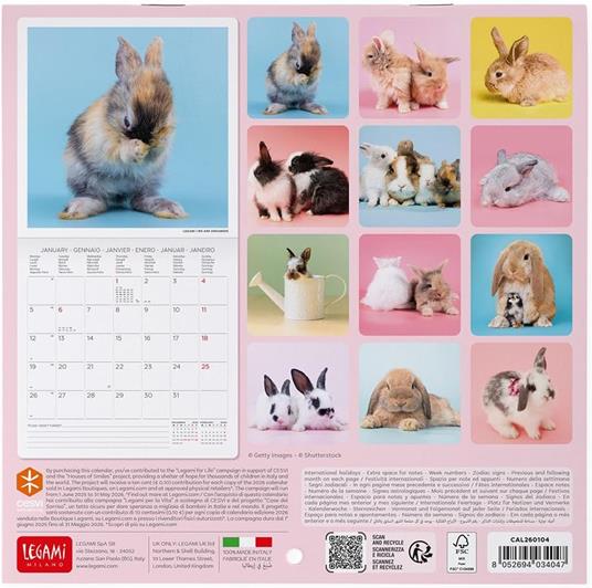 Calendario 2026 da Parete  - Honey Bunny - 18 x 18 cm - 3