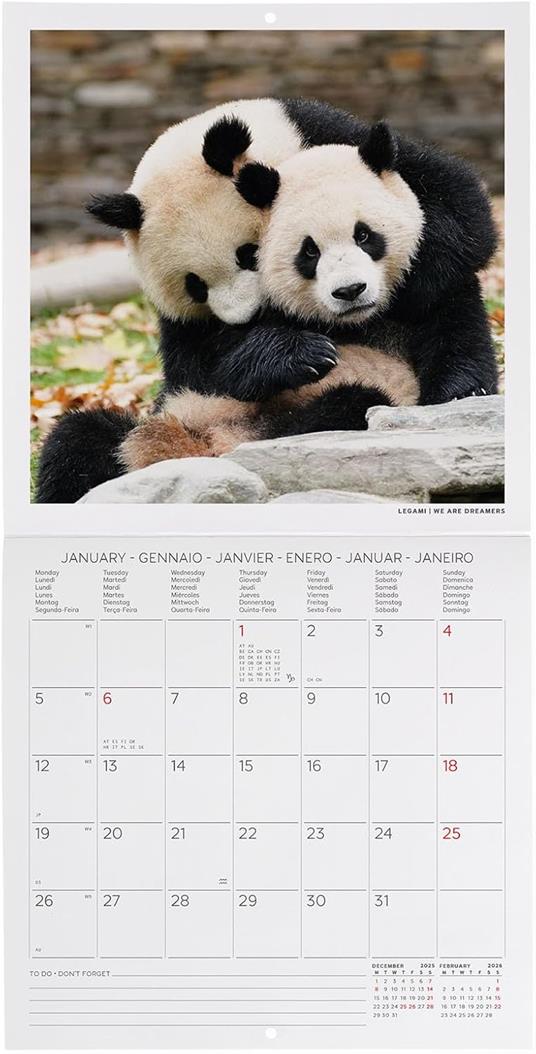 Calendario 2026 da Parete  - Life Is Pantastic - 18 x 18 cm - 2