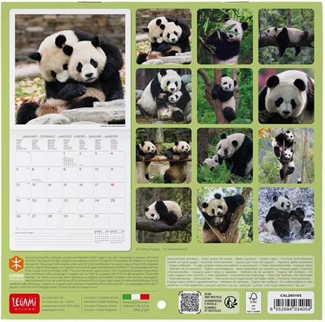 Calendario 2026 da Parete  - Life Is Pantastic - 18 x 18 cm - 3