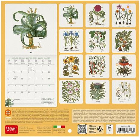 Calendario 2026 da Parete  - Herbarium - 18 x 18 cm - 3