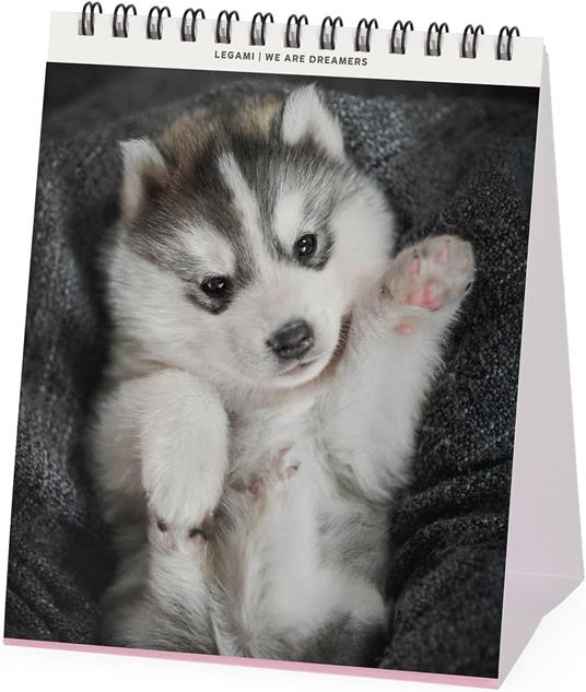 Calendario 2026 da Tavolo  - Puppies - 12 x 14,5 cm - 2