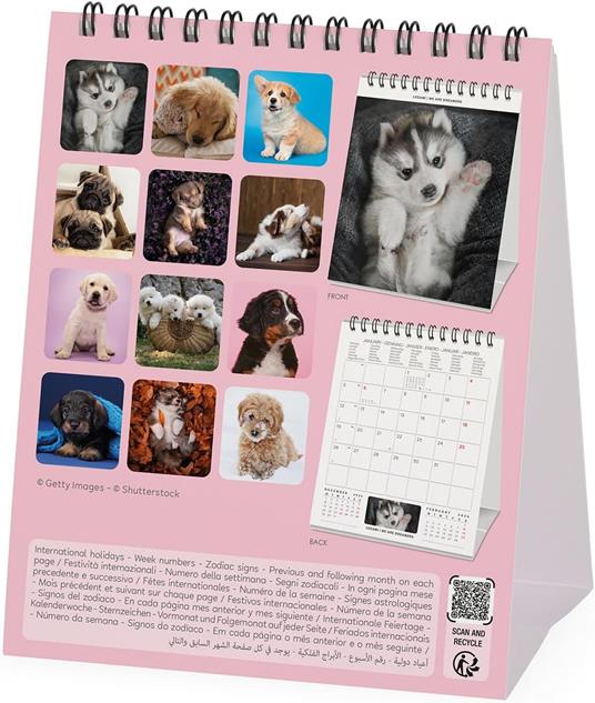 Calendario 2026 da Tavolo  - Puppies - 12 x 14,5 cm - 4