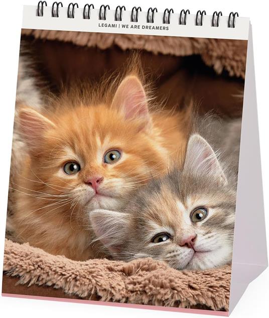 Calendario 2026 da Tavolo  - Kittens - 12 x 14,5 cm - 2