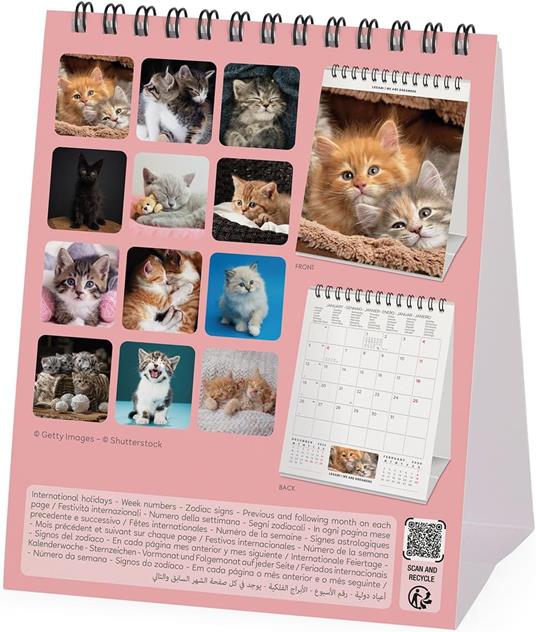 Calendario 2026 da Tavolo  - Kittens - 12 x 14,5 cm - 4