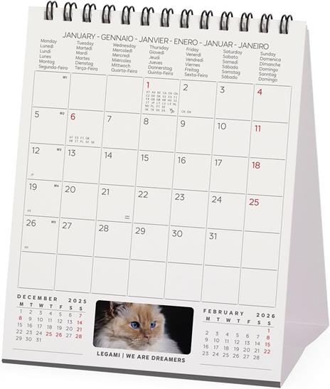 Calendario 2026 da Tavolo  - Cats - 12 x 14,5 cm - 3