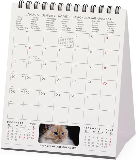 Calendario 2026 da Tavolo  - Cats - 12 x 14,5 cm - 3