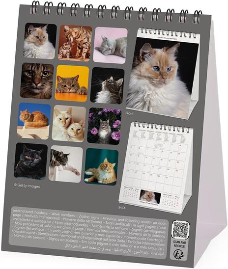 Calendario 2026 da Tavolo  - Cats - 12 x 14,5 cm - 4