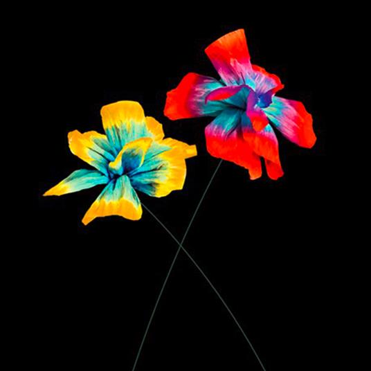 Così speciale - Vinile LP di Diodato