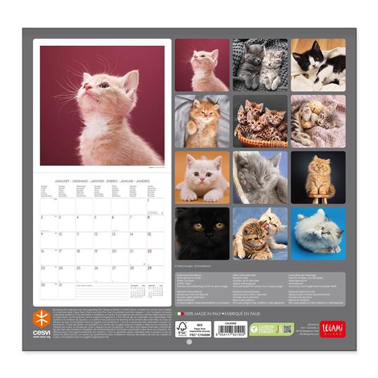 Calendario Legami 2023, Kittens - 30 x 29 cm - Legami - Cartoleria e scuola
