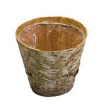 Vaso Portafiori Decorativo 17x14,5cm Tondo In Legno Natale Arredo Deco