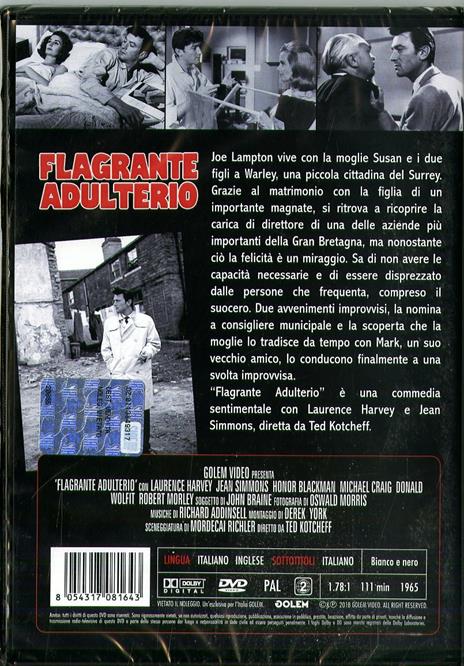 Flagrante adulterio (DVD) di Ted Kotcheff - DVD - 2
