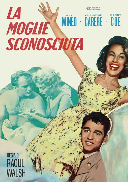 La moglie sconosciuta (DVD) di Raoul Walsh - DVD