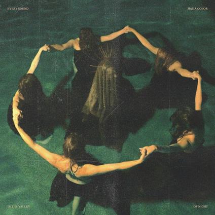 Every Sound Has A Color In The Valley Of - Vinile LP di Night Verses