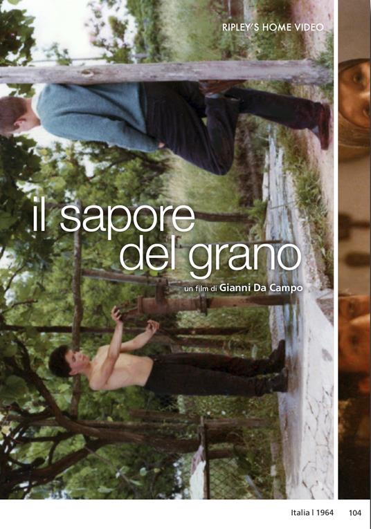 Il sapore del grano di Gianni Da Campo - DVD