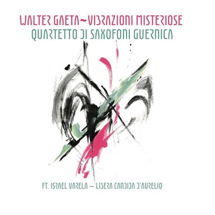 Vibrazioni misteriose - CD Audio di Walter Gaeta