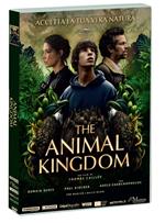 The Animal Kingdom (DVD)