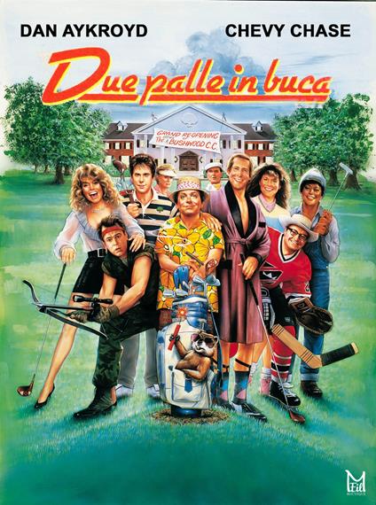 Due Palle In Buca (DVD) di Allan Arkush - DVD