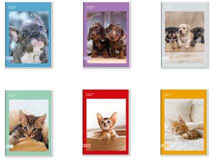 Quaderno A4 Maxi 96/100 Colour Code Animal Snapshot, Q - Quadretti grandi 5 mm con margine 21 x 30 cm