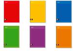 Spiral Maxi 160/80 Colour Code Rainbow Colorful, 5 M - Quadretti grandi 5 mm 22 x 29,5 cm