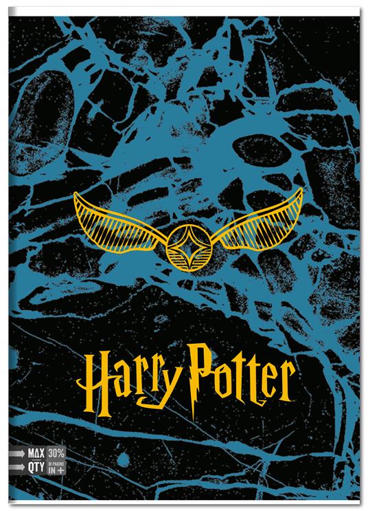 Quaderno A4 Maxi 96/100 Harry Potter, 1 Rigo - 21 x 30 cm - 3