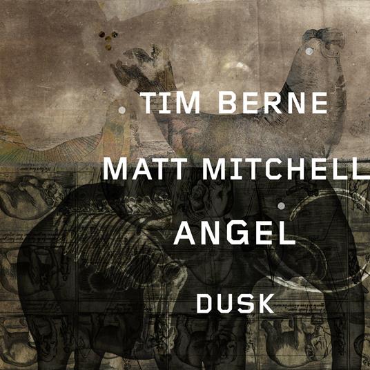 Angel Dusk - CD Audio di Tim Berne,Matt Mitchell