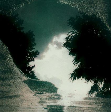 Feeding the Flame - Vinile LP di Sad Lovers and Giants