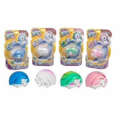 Live Pets Porcospinos