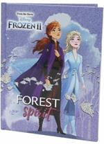 Diario segreto Frozen con Luci