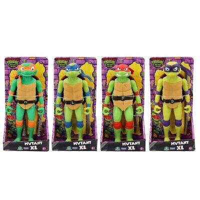 Turtles Xl ass.to