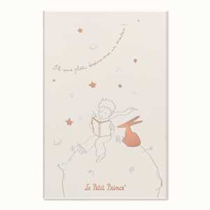 Cartoleria Set Le Petit Prince in edizione limitata Taccuino large a righe, Agenda large senza date, con Gift Box Moleskine