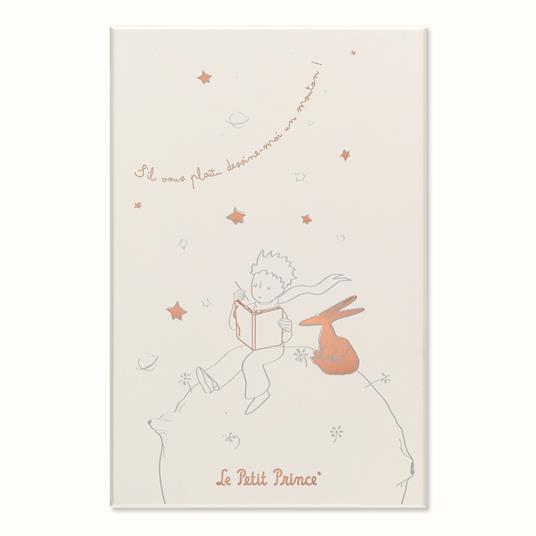 Set Le Petit Prince in edizione limitata Taccuino large a righe, Agenda large senza date, con Gift Box