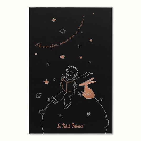Taccuino Moleskine 2023, Le Petit Prince in edizione limitata Large, copertina rigida, a righe, con Gift box