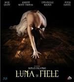 Luna di fiele