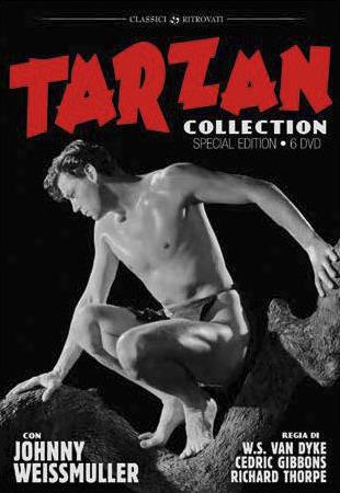 Tarzan. Johnny Weissmuller Collection (6 DVD) di Cedric Gibbons,Richard Thorpe - DVD