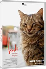 Kedi. La città dei gatti (DVD)