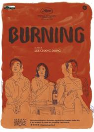 Burning (DVD)