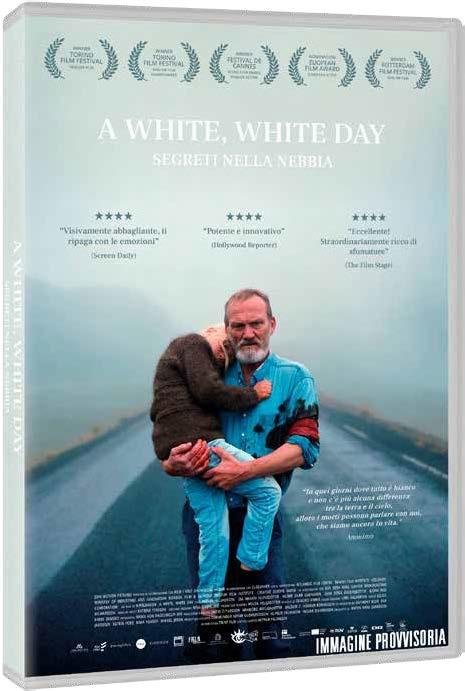 A White, White Day. Segreti nella nebbia (DVD) di Hilynur Palmason - DVD