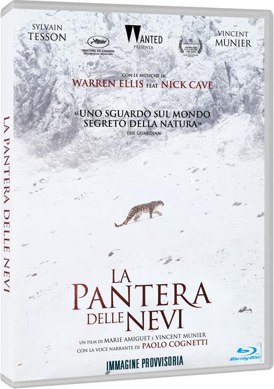 La pantera delle nevi (Blu-ray) di Vincent Munier,Marie Amiguet - Blu-ray
