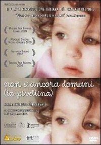 Non è ancora domani (La Pivellina) di Tizza Covi,Rainer Frimmel - DVD