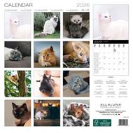 Calendario da muro 2026 Cats Allaluna - 30 x 30 cm