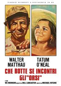 Film Che Botte Se Incontri Gli Orsi (Restaurato In Hd) (DVD) Michael Ritchie