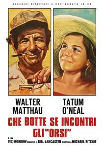 Film Che Botte Se Incontri Gli Orsi (Restaurato In Hd) (DVD) Michael Ritchie