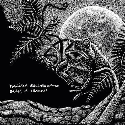 Bruise A Shadow - CD Audio di Daniel Brusaschetto