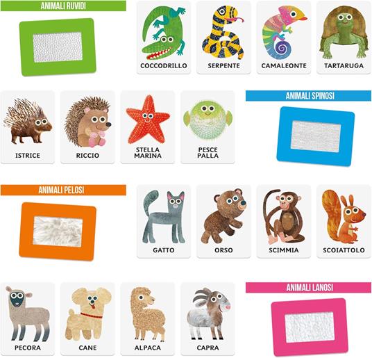 HEADU - Flashcards Animali Tattili Montessori, Tocca e Riconosci il Manto Degli Animali - 5