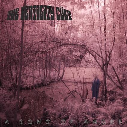 A Song Of Anger - Vinile LP di Fërtility Cült