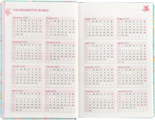 Agenda Settimanale 13 mesi, 2025-26 Turnowsky Summer Flowers - 5