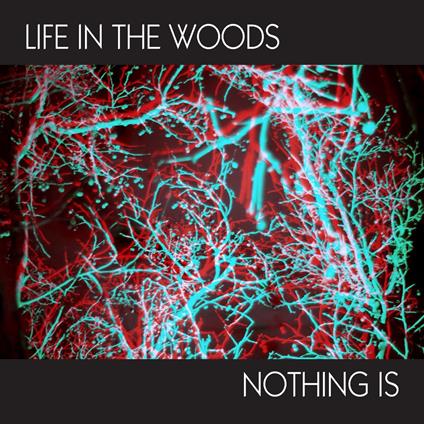 Nothing is - Vinile 7'' di Life in the Woods