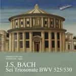 Sei Triosonate BWV 525-530